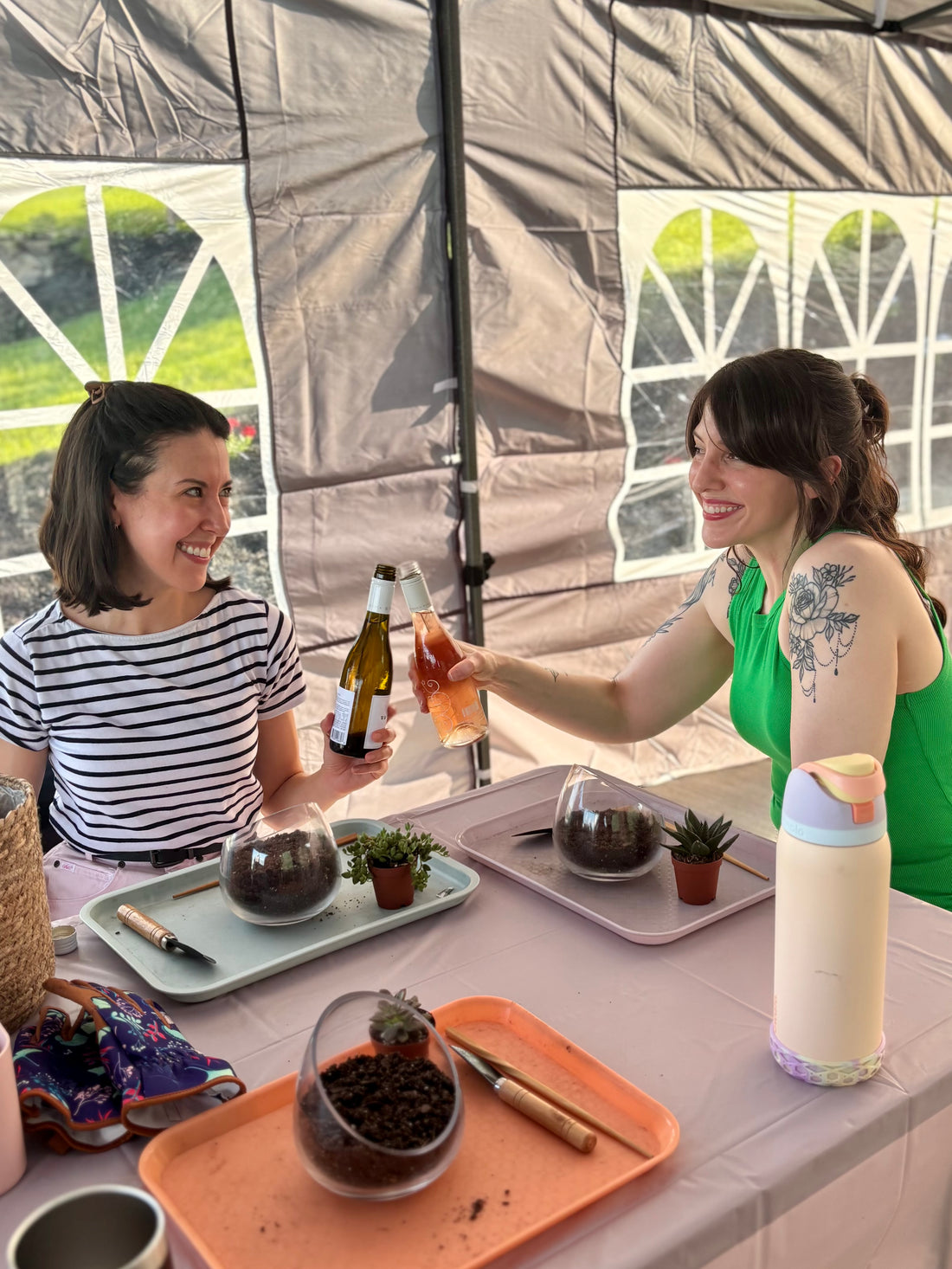 July 24th | Cacti & Cows at Hickory Hearth Highlands