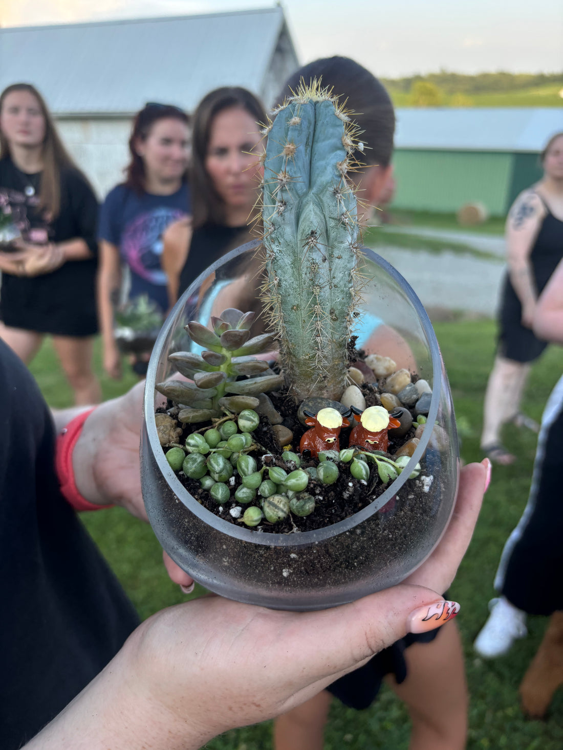 July 24th | Cacti & Cows at Hickory Hearth Highlands