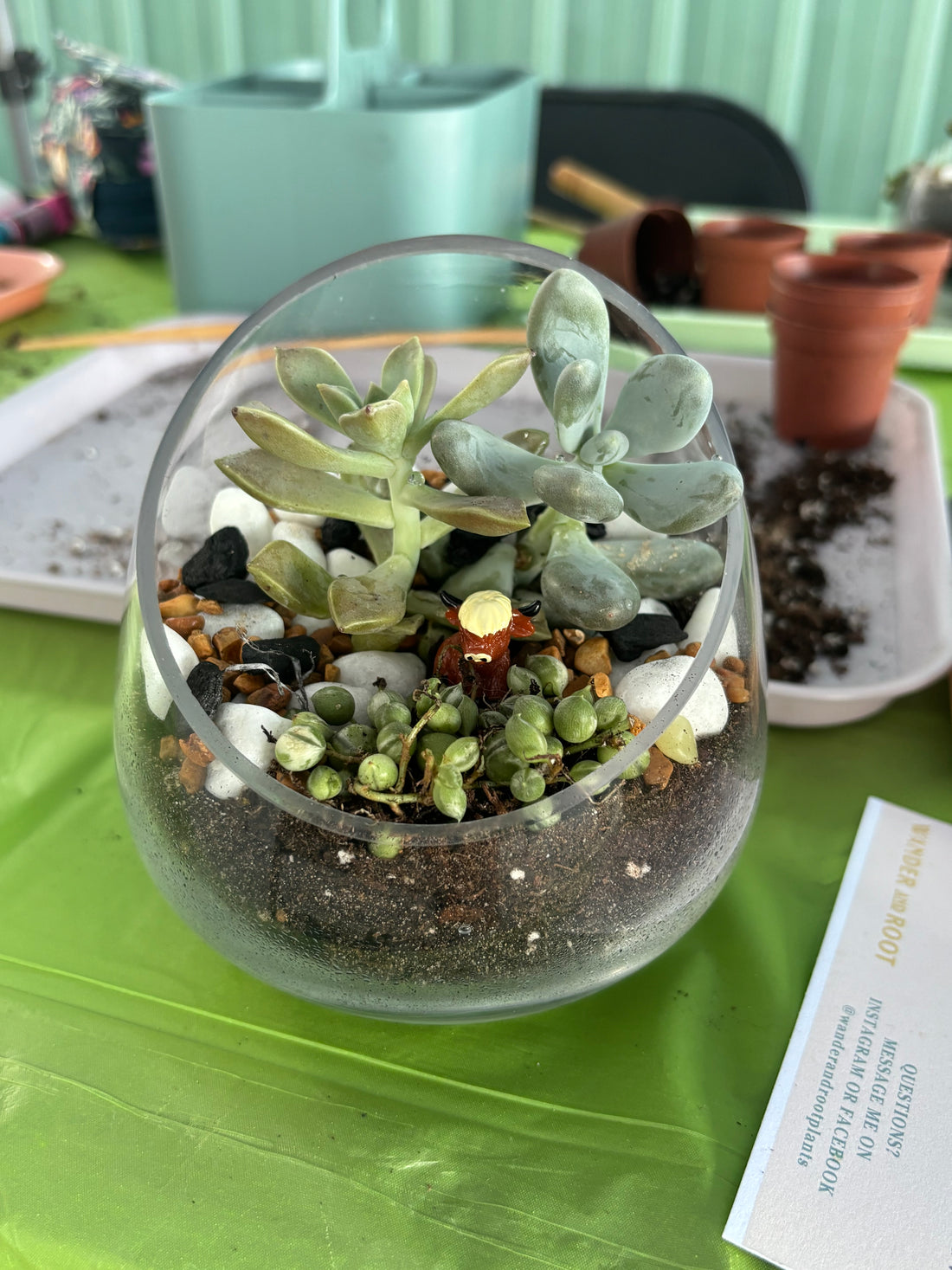 July 24th | Cacti & Cows at Hickory Hearth Highlands