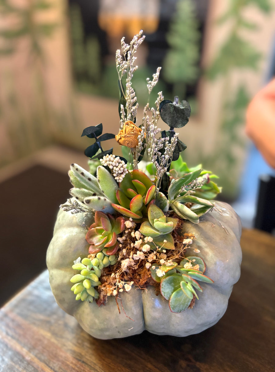 October 14 | Pumpkin Succulent Workshop Fundraiser at Buffalo Elementary