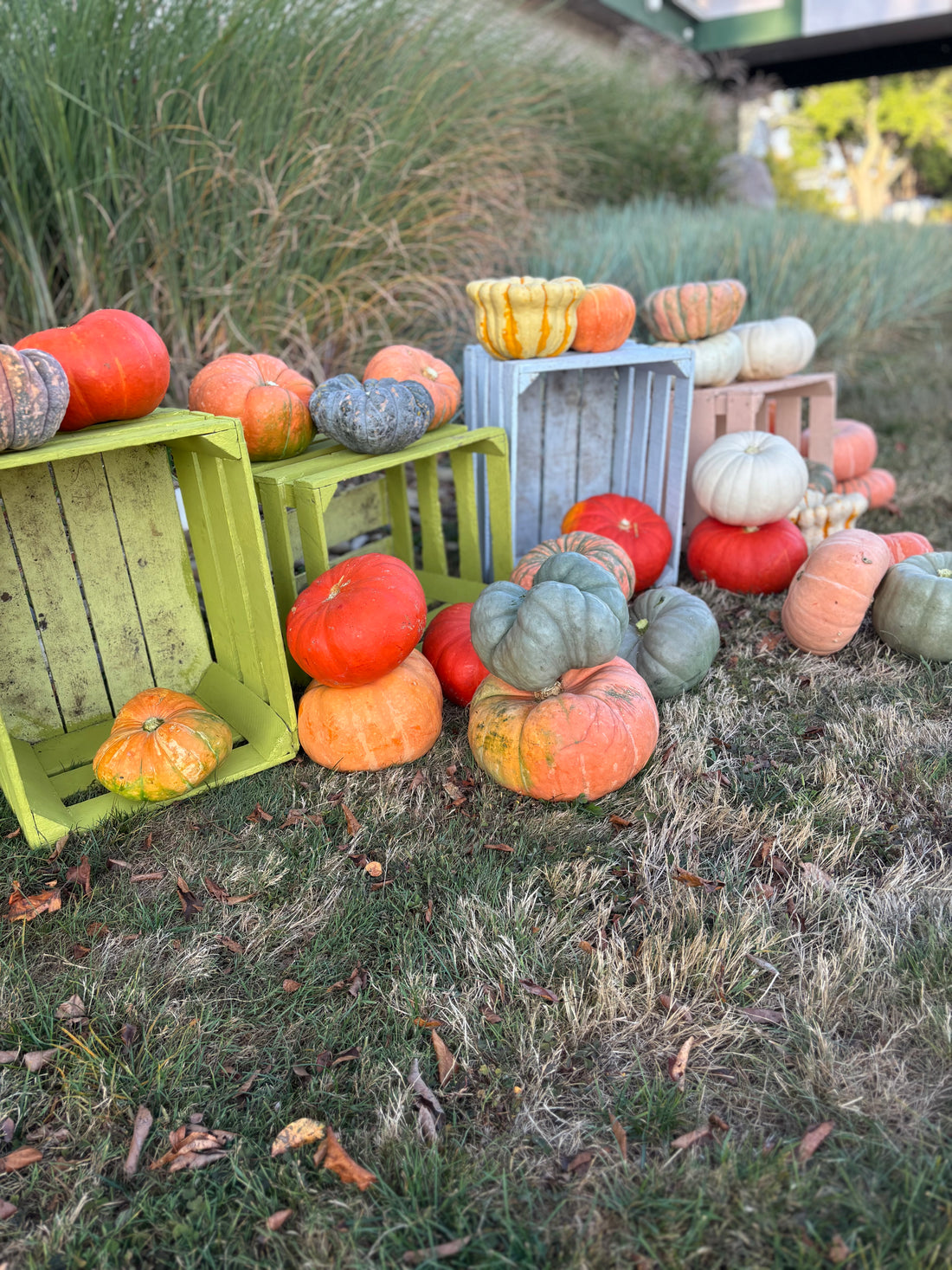 September 23rd | Pumpkin Succulent Workshop at Two Frays Brewery