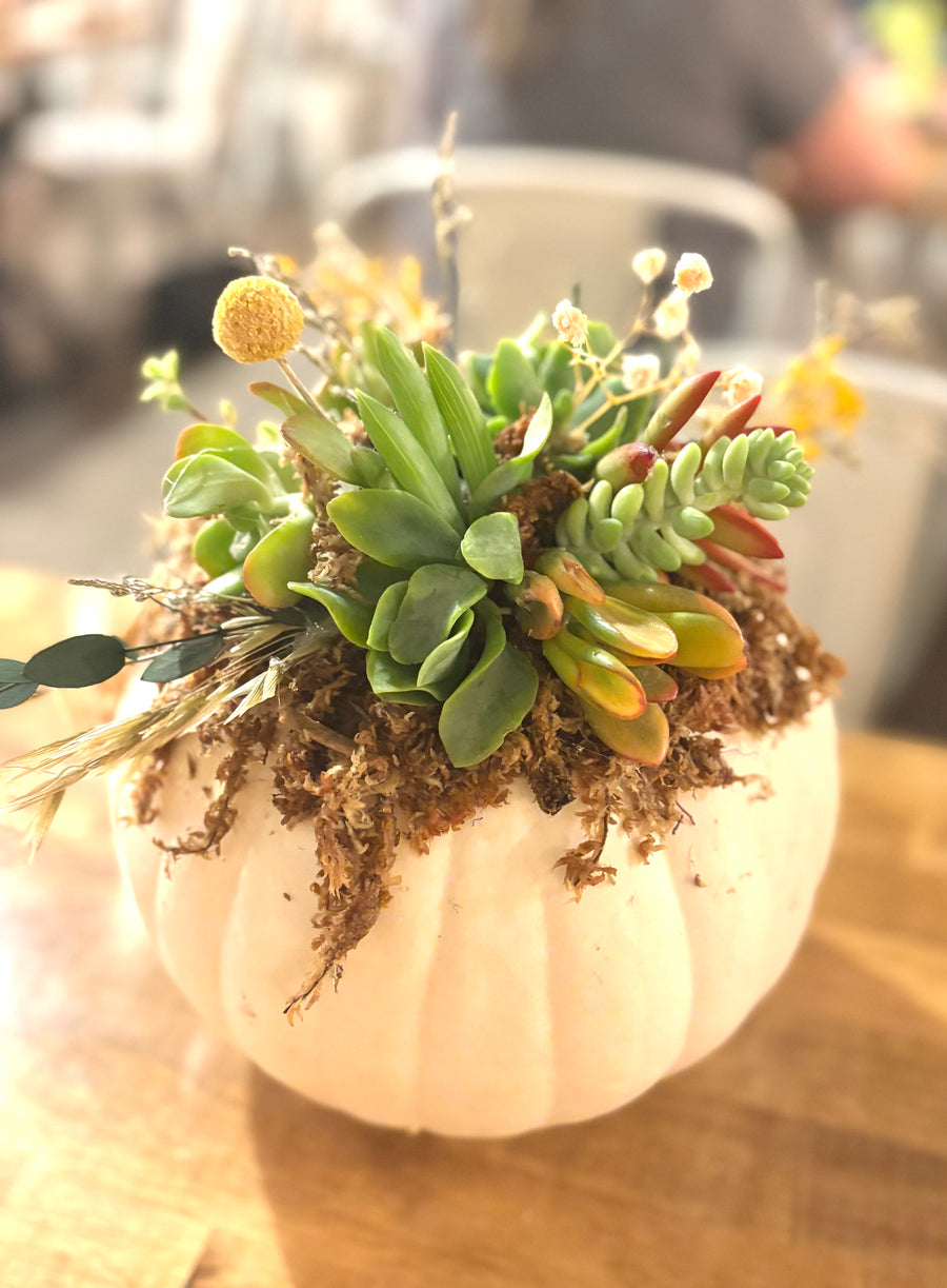 October 29 | Pumpkin Succulent Workshop at Bastin Distillery