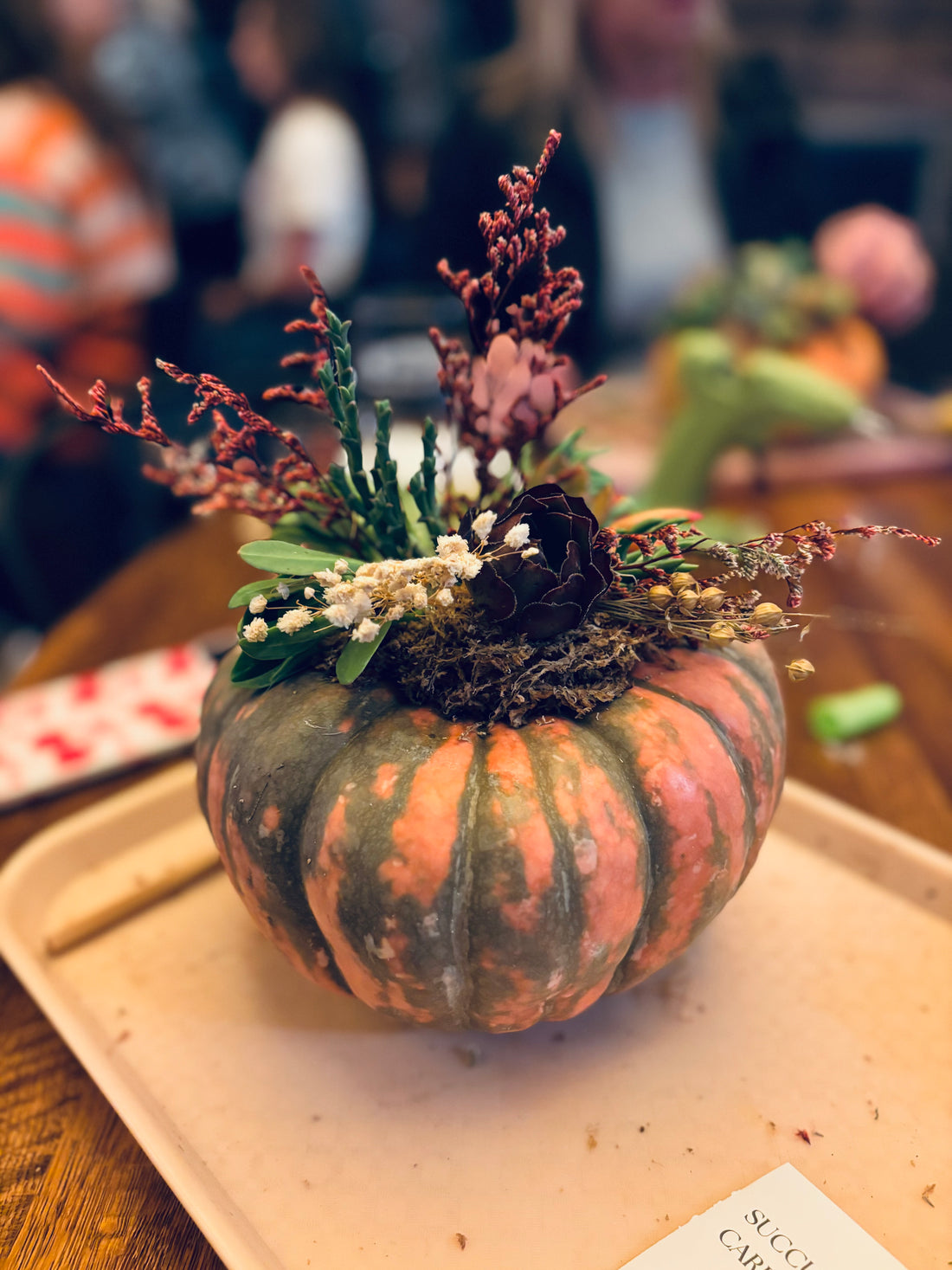 September 23rd | Pumpkin Succulent Workshop at Two Frays Brewery