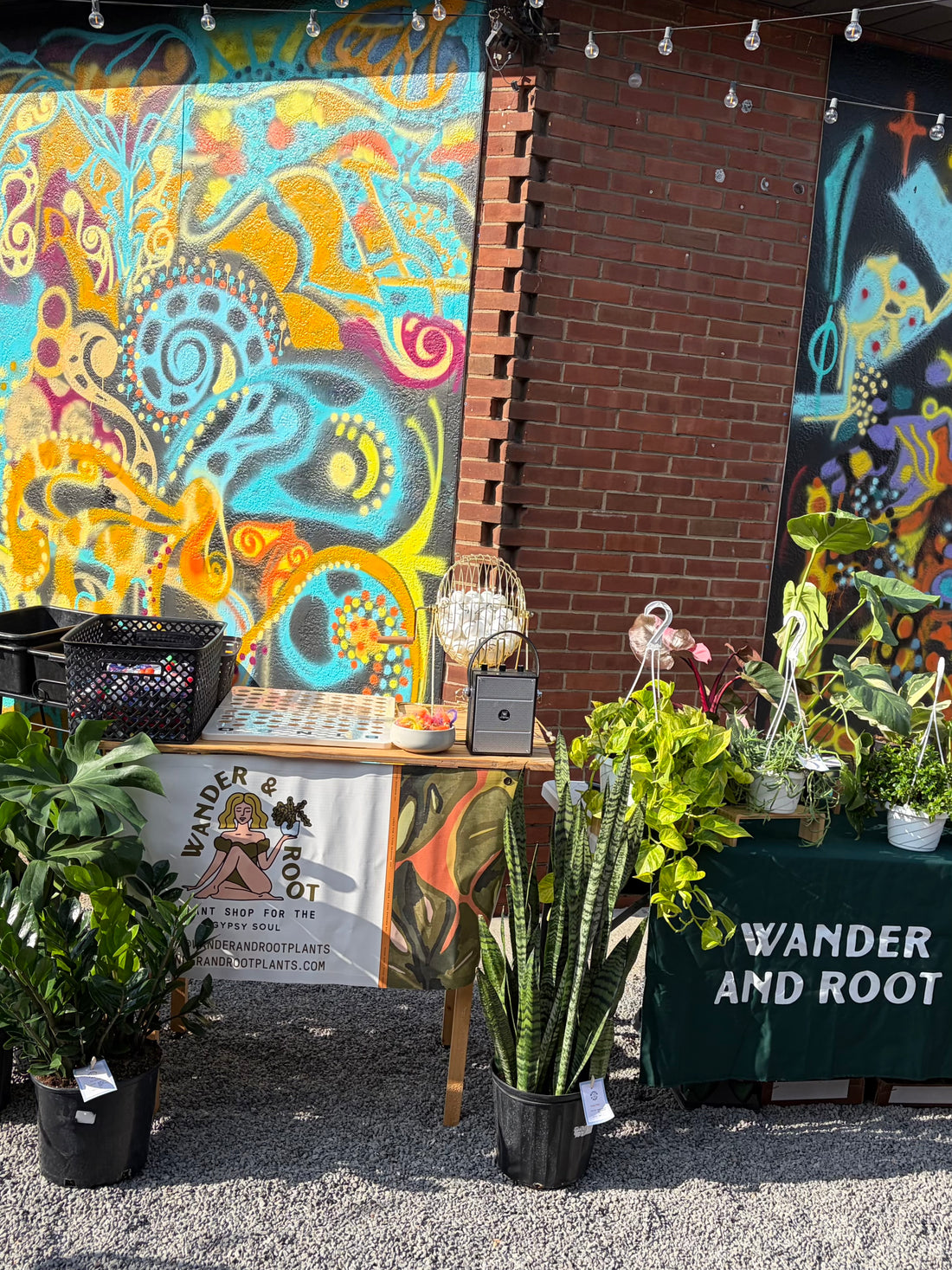 October 8th | Plant Bingo @ Strange Roots