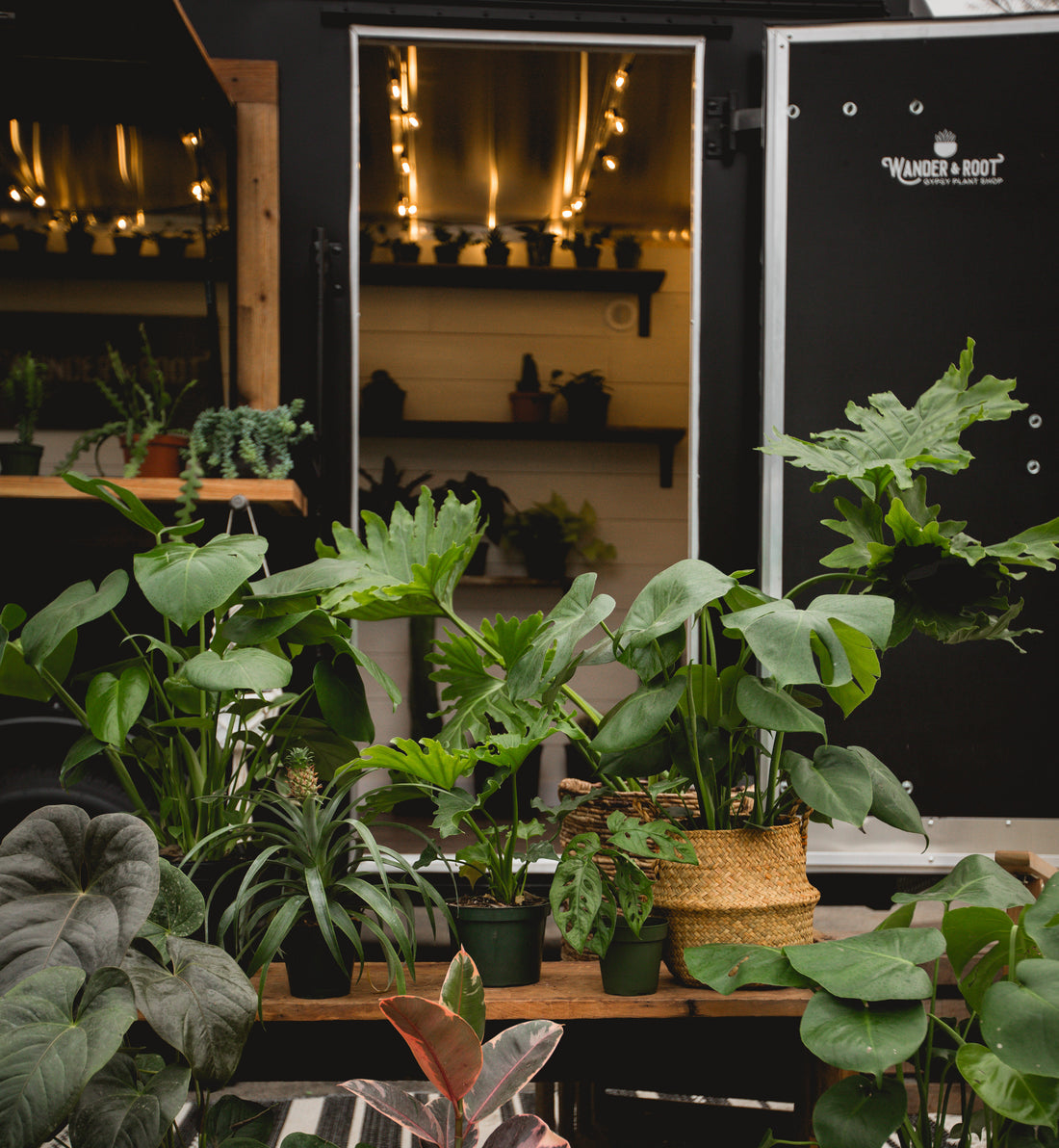 Plant Bingo @ Squatch Brewing March 25th