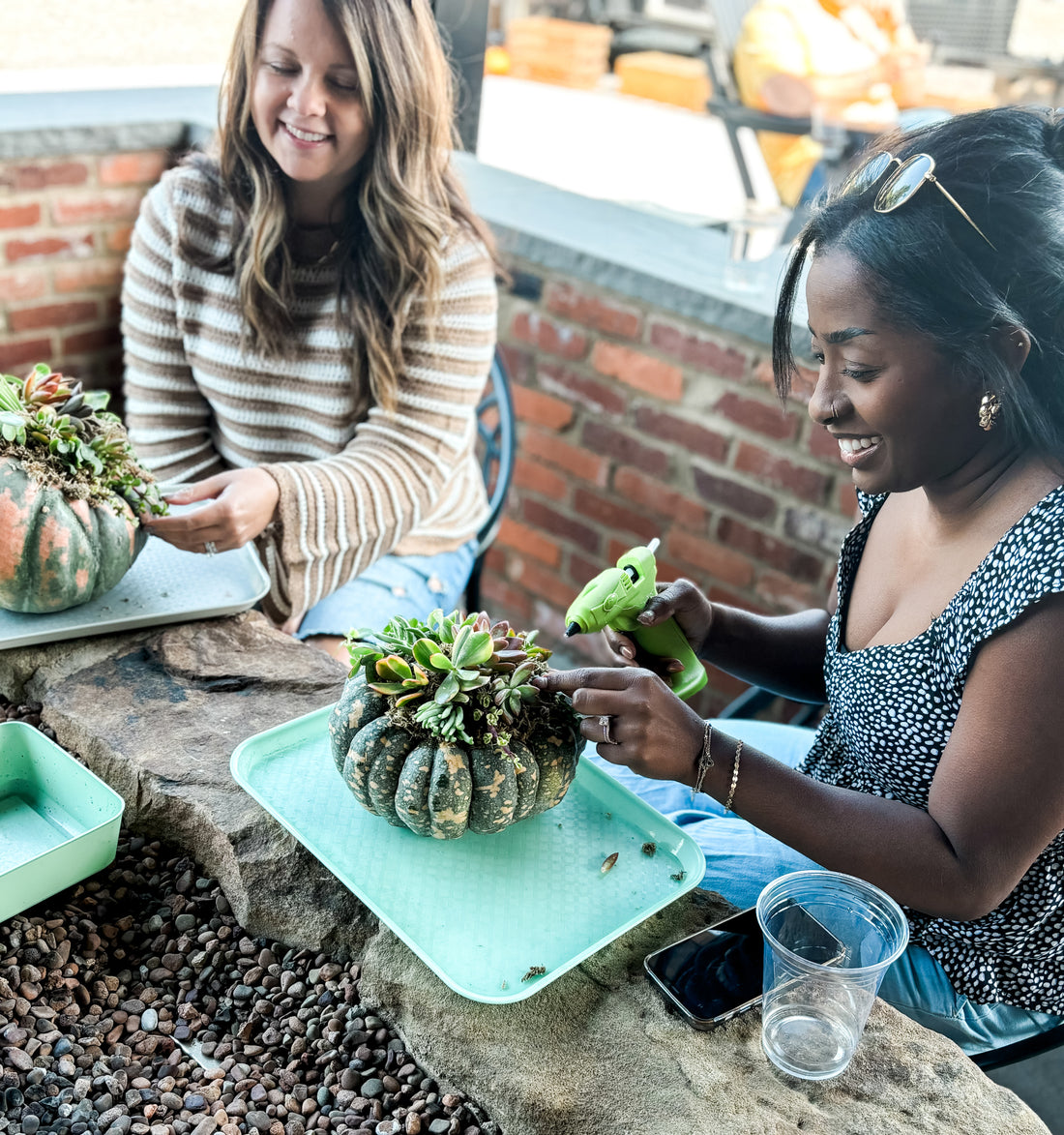 October 05 | Pumpkin Succulent Workshop at Levity Brewing