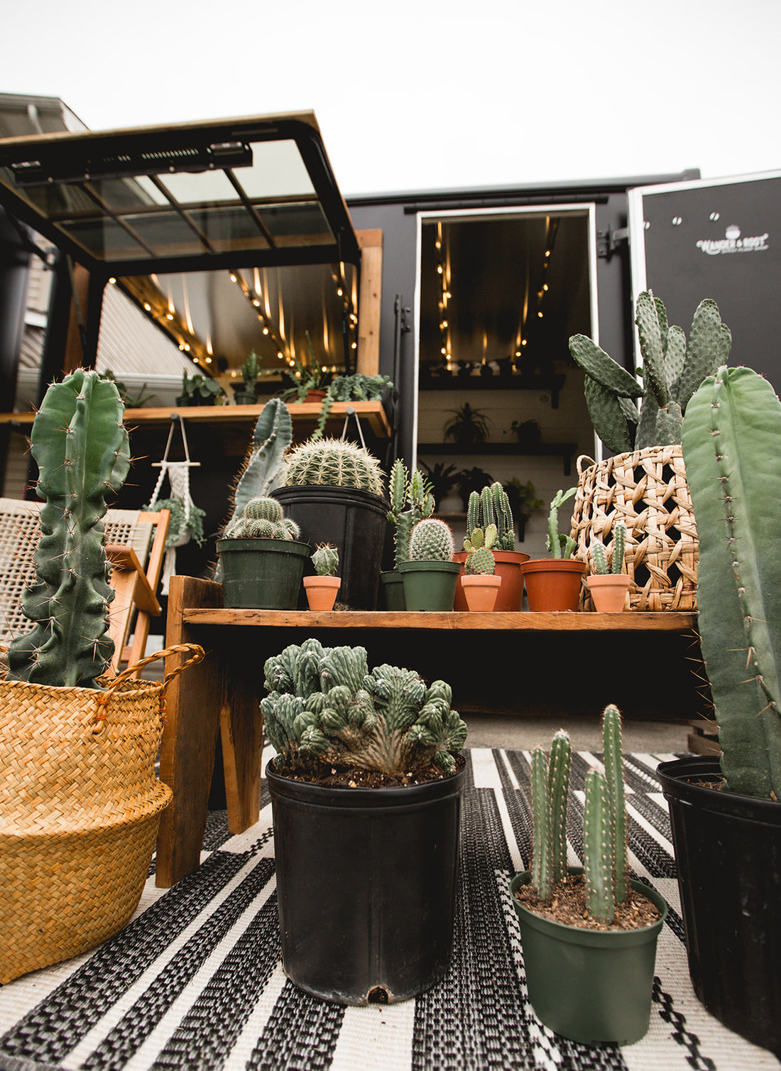 Plant Bingo @ Squatch Brewing March 25th