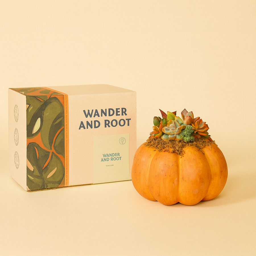 Pumpkin with succulents next to a box labeled 'Wander and Root' on a beige background