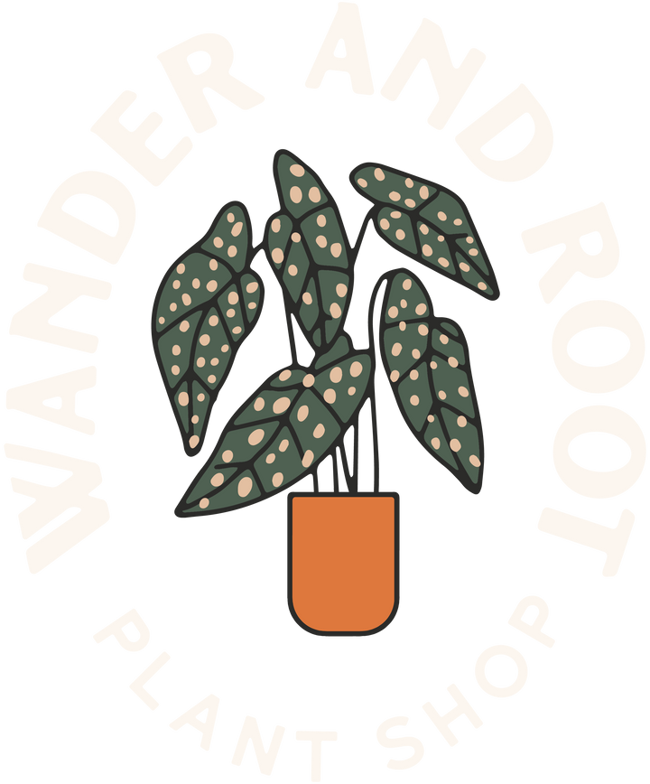 The Ultimate Trailer Checklist for Your Mobile Plant Shop – Wander and Root