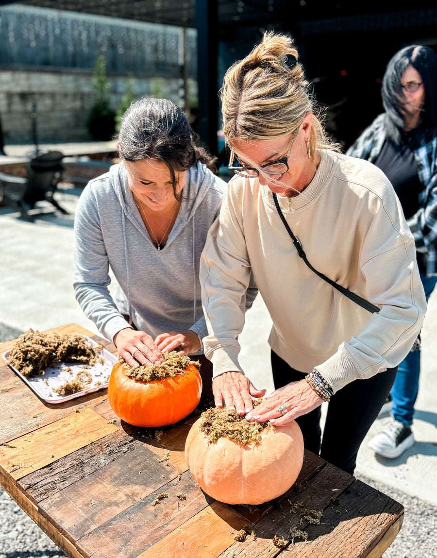October 05 | Pumpkin Succulent Workshop at Levity Brewing