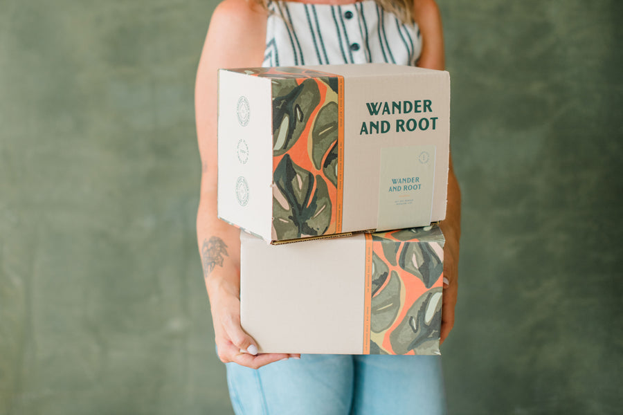 DIY Succulent Christmas Tree Kit