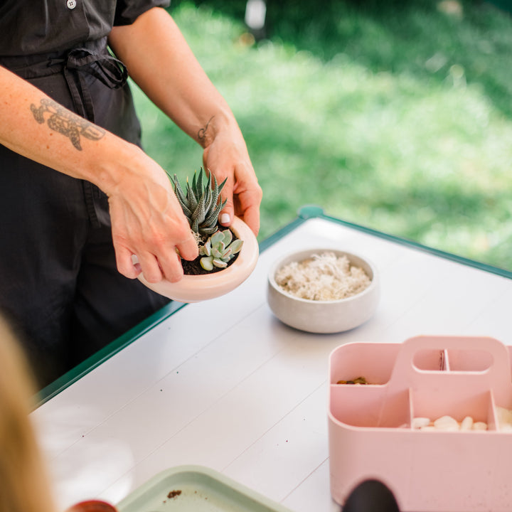 Person holding a small potted plant on a table with gardening tools and materials.