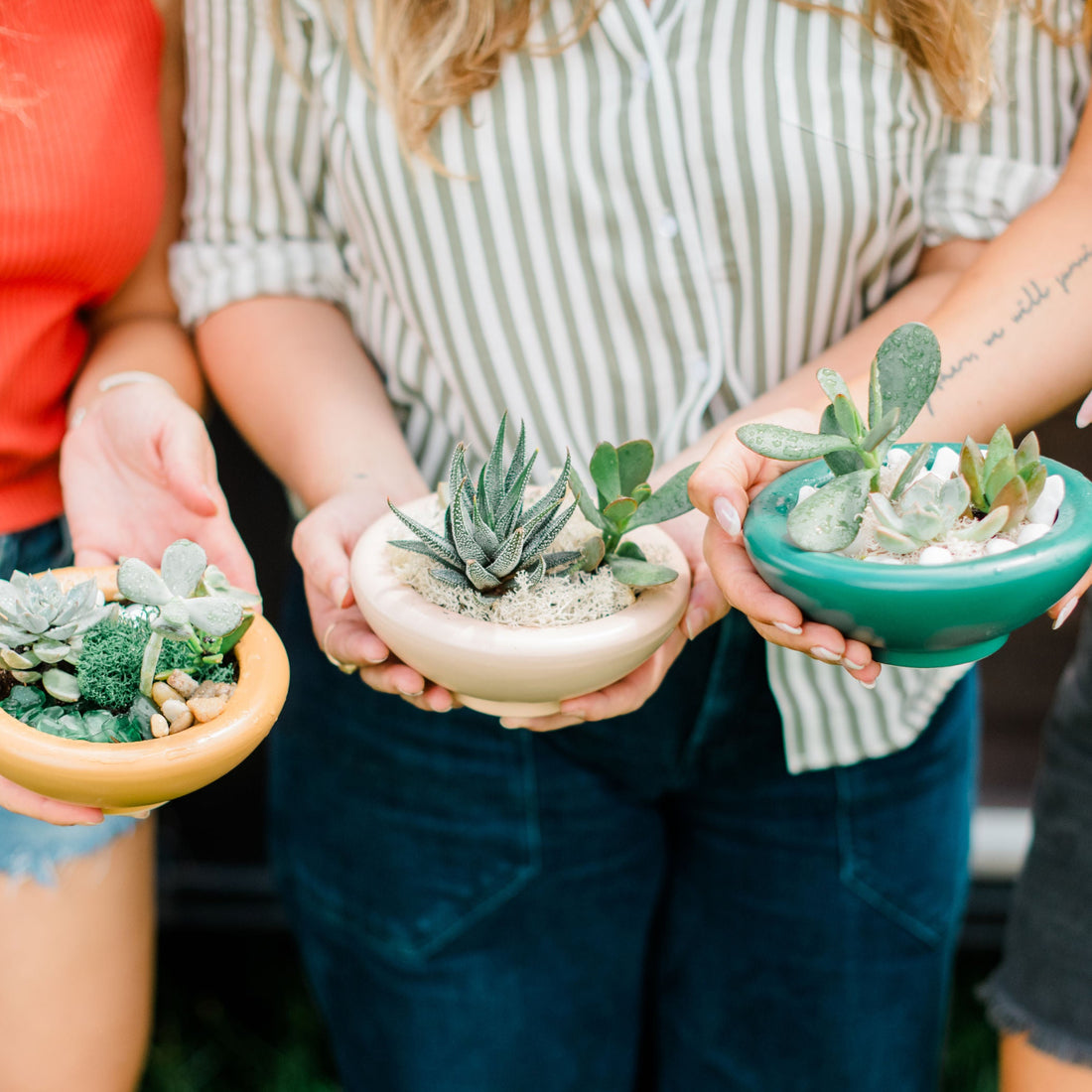 September 21 | Pumpkin Succulent Workshop at Clarion River Brewing Company