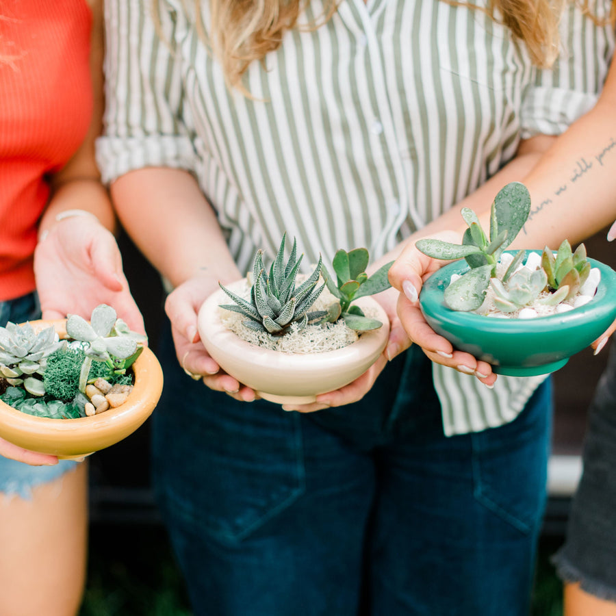 September 21 | Pumpkin Succulent Workshop at Clarion River Brewing Company